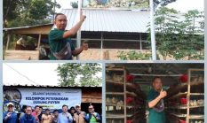 Kisah Agus Sang Peternak Puyuh di Desa Darmo, Berawal dari Hobi Hingga Jadi Ladang Rezeki